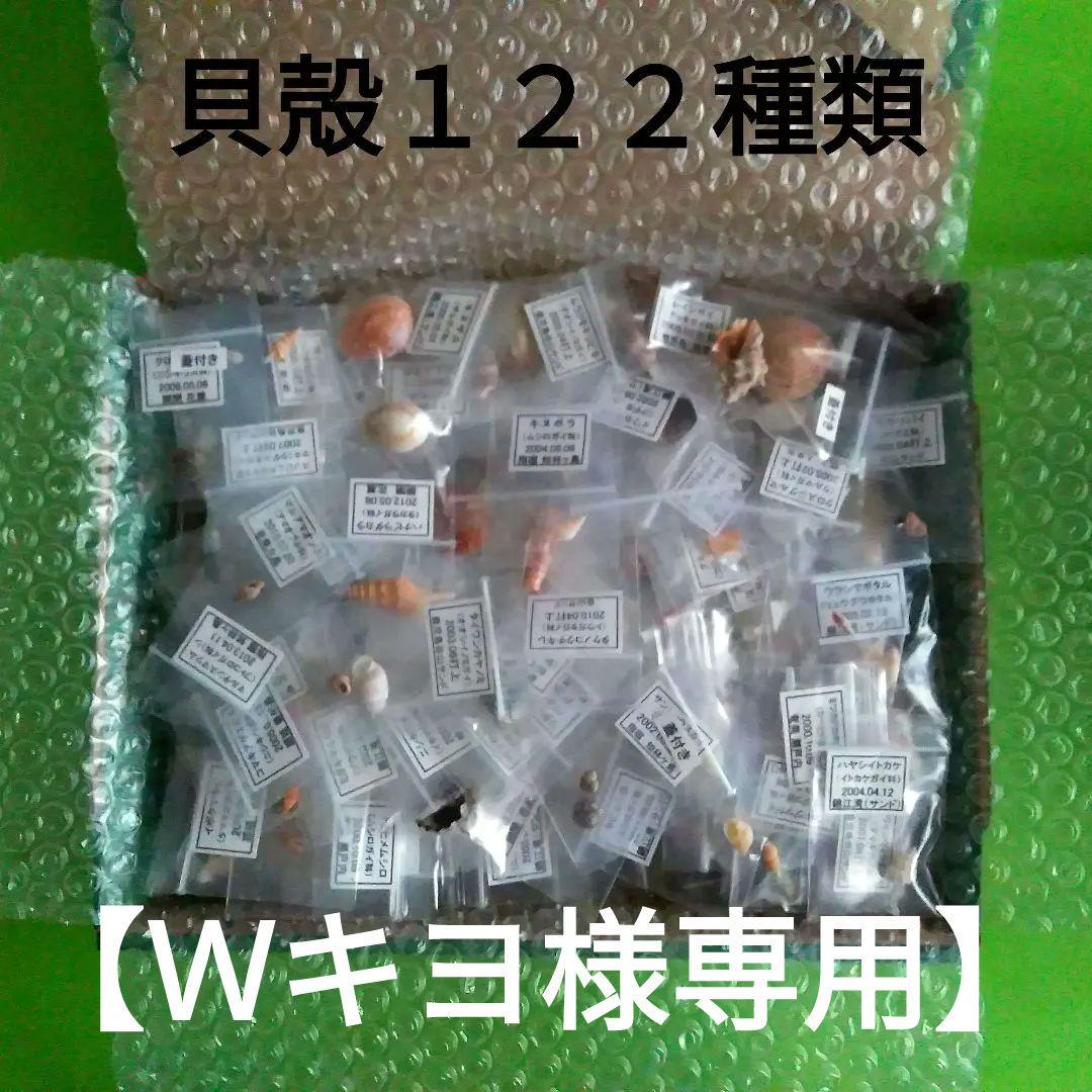 アンカー　碇　6種類　コレクション　壁掛け