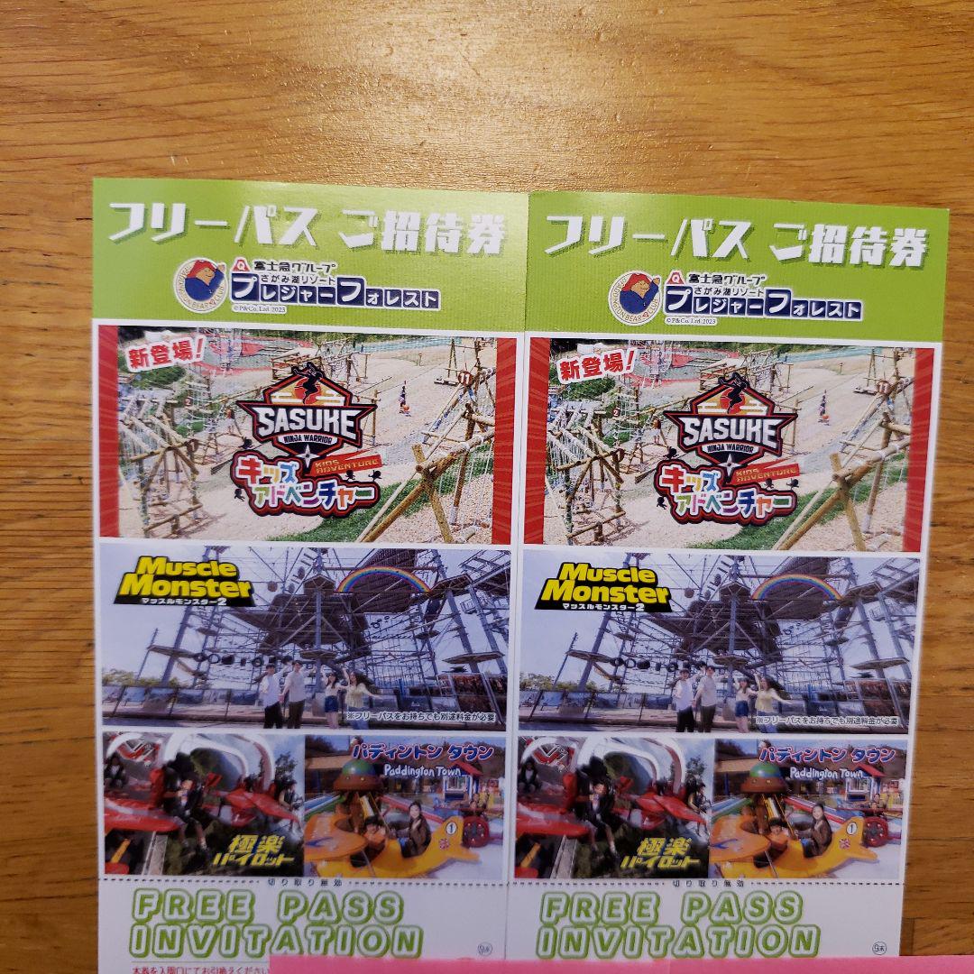 さがみ湖プレジャーフォレスト　フリーパス2枚セット