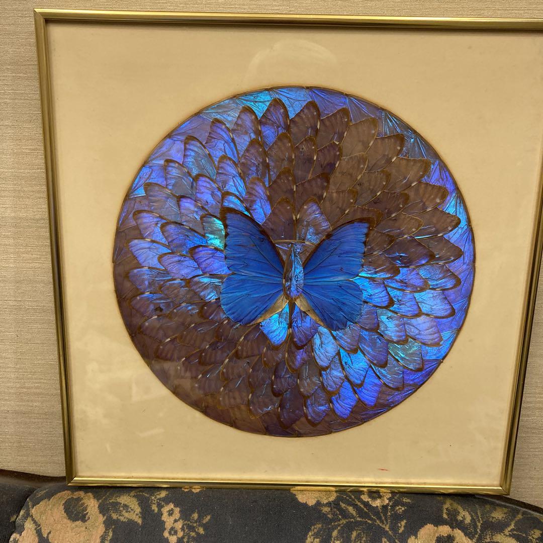 モルフォ蝶　貼り絵　アート